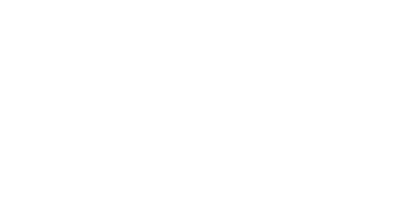 The Flava People